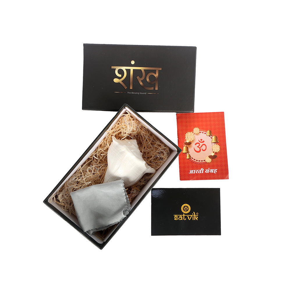 12.7 cm Sacred Dakshinavarti Valampuri Shankh