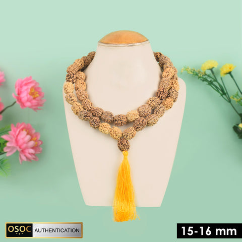 15-16mm 3 Mukhi Kantha Rudraksha Mala β Authentic Spiritual Beads for Health, Focus, and Positive Energy. Indiaβs Largest Pooja Accessories Brand - www.satvikstore.in