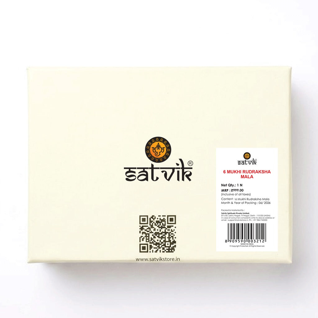 6 Mukhi Rudraksha Mala