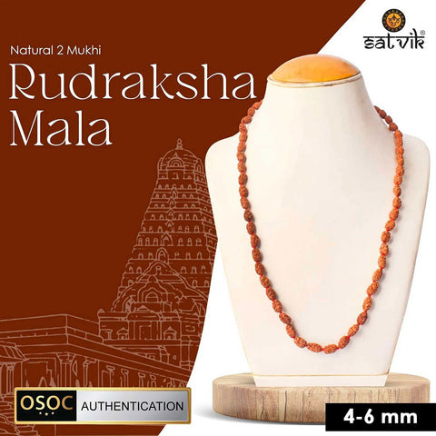 2 Mukhi Semi Pathriya Rudraksha Mala for harmony, relationships and spiritual growth. Indiaβs Premium Rudraksha Jap Mala Store- www.satvikstore.in