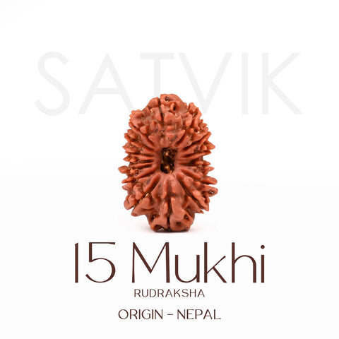 Certified 15 Mukhi Rudraksha Bead from Nepal β Powerful natural bead associated with Lord Pashupatinath, known for promoting love, compassion, emotional balance, and spiritual growth. Indiaβs Largest Brass Idols Brand - www.satvikstore.in