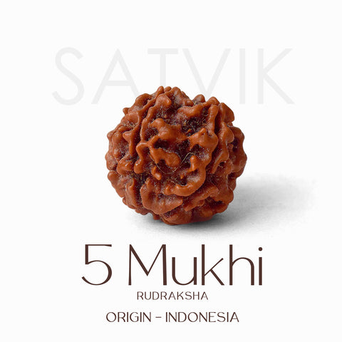 Certified 5 Mukhi Rudraksha Kantha Mala with brown natural beads, hand-strung for spiritual protection and meditation benefits. Indiaβs Largest Pooja Accessories Brand - www.satvikstore.in