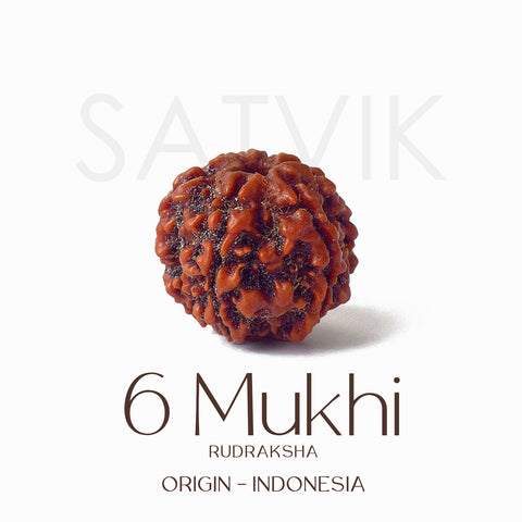 Certified 6 Mukhi brown Rudraksha bead placed on red fabric, symbolizing courage, focus, and inner discipline for spiritual and professional growth. Indiaβs Largest Pooja Accessories Brand - www.satvikstore.in
