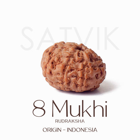 Certifiedbead in natural brown color from Indo origin placed on red cloth for success, clarity, and spiritual protection. Indiaβs Largest Pooja Accessories Brand - www.satvikstore.in