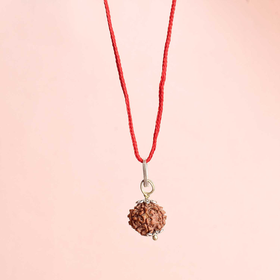 Certified 6 Mukhi Rudraksha Pendant