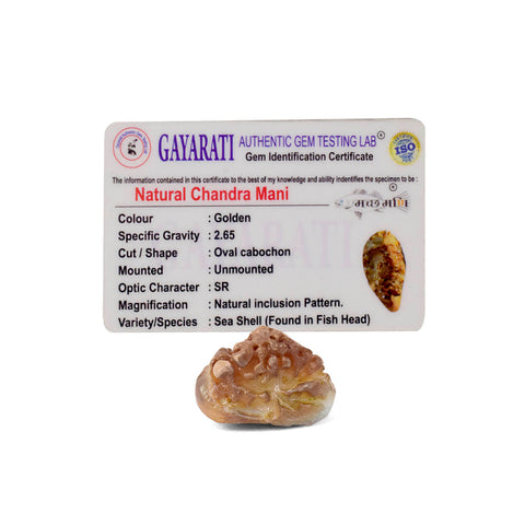 Golden Chander Mandi Machmadi used in Hindu rituals for protection and divine blessings. Indiaβs Largest Pooja Accessories Brand - www.satvikstore.in