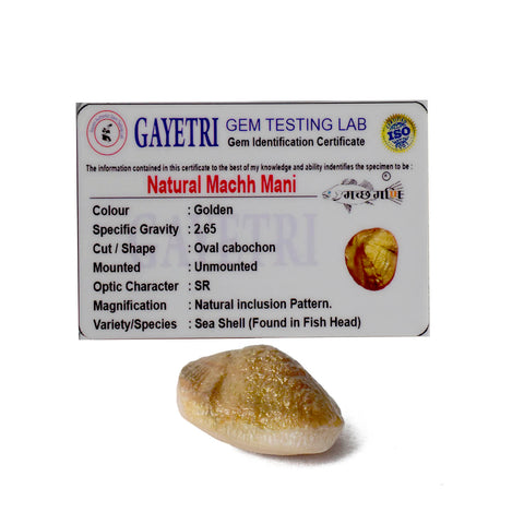 Natural golden Machh Mani spiritual stone in polished finish, placed on decorative altar setup for pooja and astrological remedies. Indiaβs Largest Pooja Accessories Brand - www.satvikstore.in
