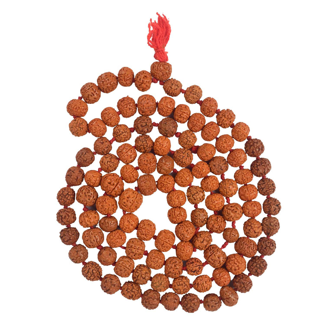5 Mukhi 10 MM Rudraksha Mala – Natural Spiritual Healing Beads