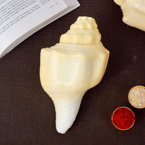 Debadutta Shankh (Conch Shell) for purity and divine blessings β Indiaβs Largest Pooja Accessories Brand β www.satvikstore.in