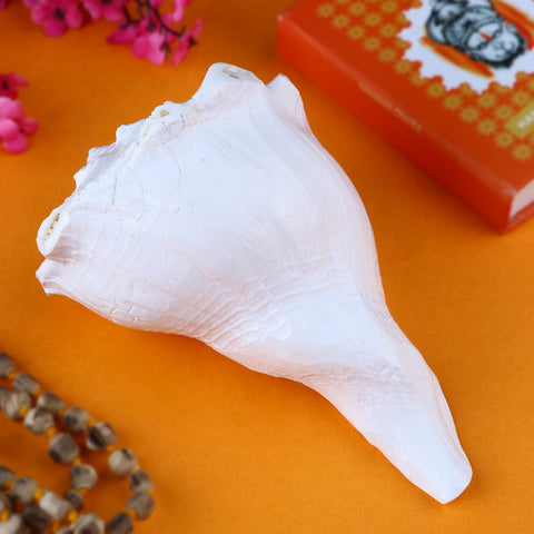 Authentic Dakshinavarti Shankh, a sacred right-handed conch shell revered for attracting wealth and positive energy, ideal for pooja, vastu, and spiritual rituals. 
Indiaβs Largest Pooja Accessories Brand β www.satvikstore.in