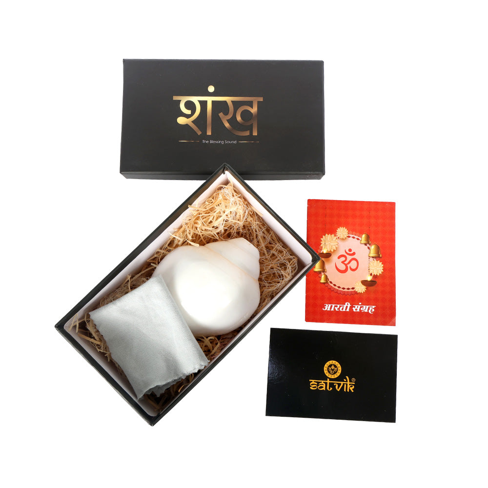Natural 100% Original Sacred Blowing Shankh 13 cm