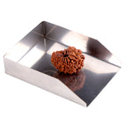 15 Mukhi Rudraksha (25.26mm)
