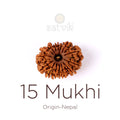 15 Mukhi Rudraksha bead natural Nepali fifteen face Rudraksha. India’s Premium Rudraksha Beads Brand - www.satvikstore.in