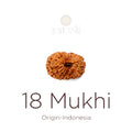 18 Mukhi Rudraksha bead natural Indo eighteen face Rudraksha. India’s Premium Rudraksha Beads Brand - www.satvikstore.in