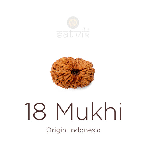 18 Mukhi Rudraksha bead natural Indo eighteen face Rudraksha. India’s Premium Rudraksha Beads Brand - www.satvikstore.in