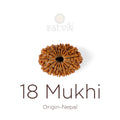 18 Mukhi Rudraksha bead natural Nepali eighteen face Rudraksha. India’s Premium Rudraksha Beads Brand - www.satvikstore.in