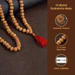 10 Mukhi Pathariya Rudraksha Mala 11-12mm