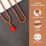 8 Mukhi Pathariya Rudraksha Mala 7-8mm