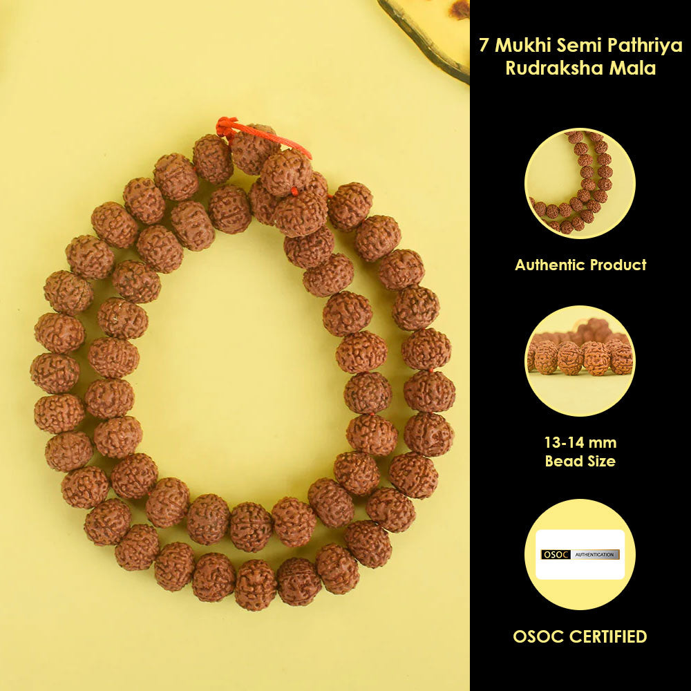 7 Mukhi Semi Pathriya Rudraksha Mala 13-14 mm