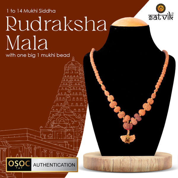 1–14 Mukhi Siddh Rudraksha Mala with Big 1 Mukhi Bead 100% Original & Certified
