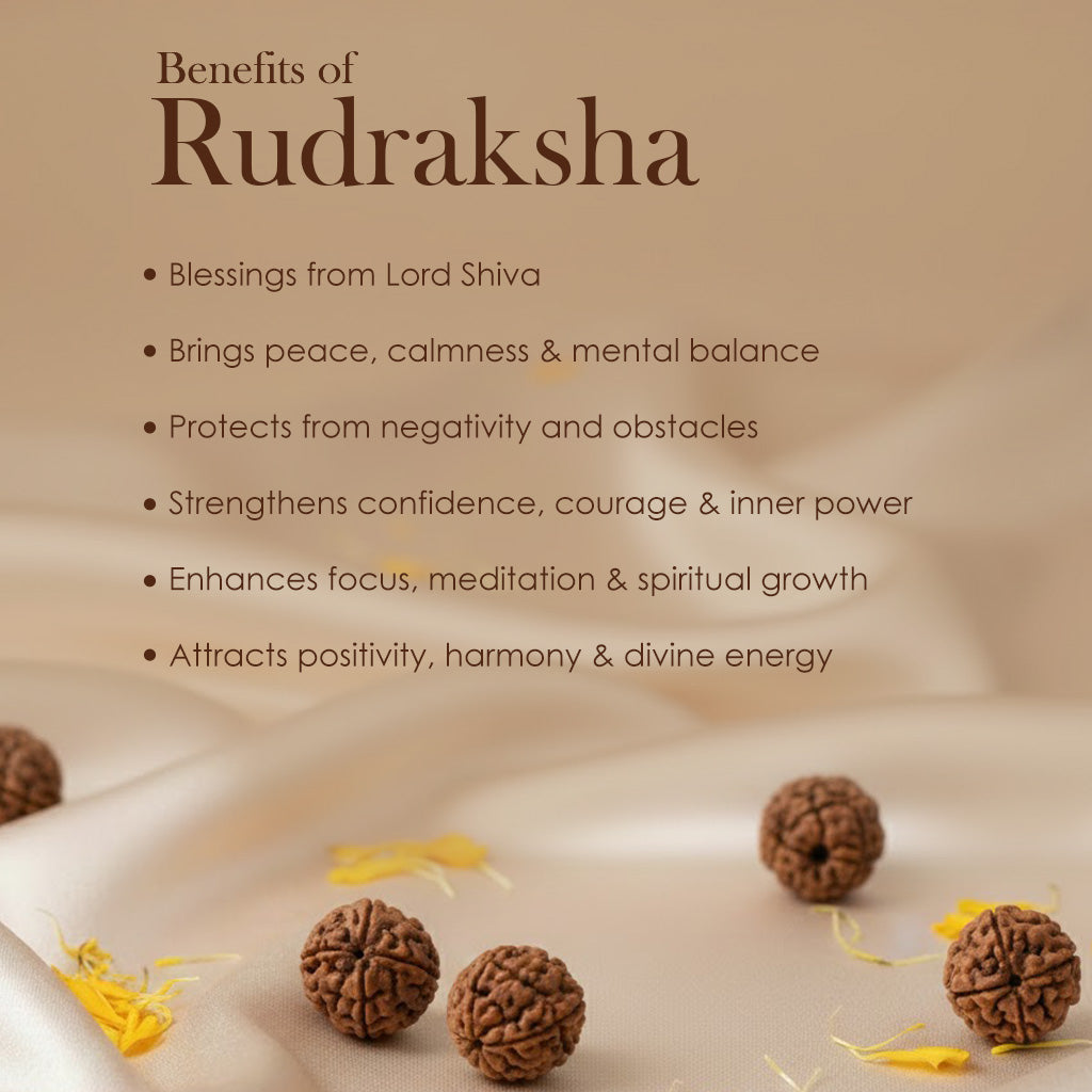 9 Mukhi Rudraksha Bracelet