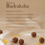 5 Mukhi Rudraksha Kantha Mala