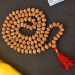 10 Mukhi Pathariya Rudraksha Mala 11-12mm