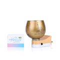 Shri Rama electric Kapoor Dani aroma burner and night lamp