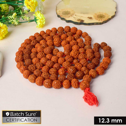 5 Mukhi 12.3 MM 108 Dana Rudraksha Mala – Authentic Spiritual Beads