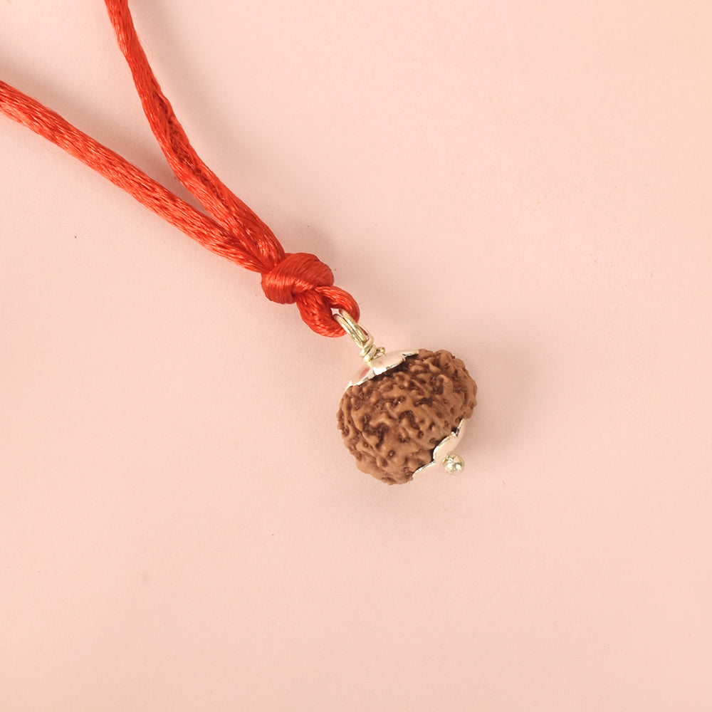 Certified 13 Mukhi Rudraksha Pendant for prosperity, confidence and spiritual power. India’s Premium Rudraksha Jap Mala Store- www.satvikstore.in