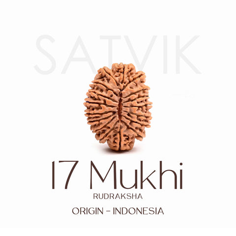 Certified 17 Mukhi Rudraksha Bead – Indonesia origin bead representing Goddess Katyayani, known for bringing prosperity, success, spiritual growth, and fulfillment of desires. India’s Largest Brass Idols Brand - www.satvikstore.in