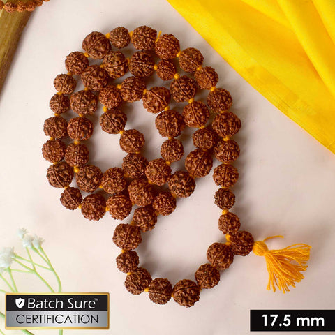 54 Dana Kantha Rudraksha Mala