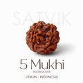 Certified 5 Mukhi Rudraksha Kantha Mala with brown natural beads, hand-strung for spiritual protection and meditation benefits. India’s Largest Pooja Accessories Brand - www.satvikstore.in