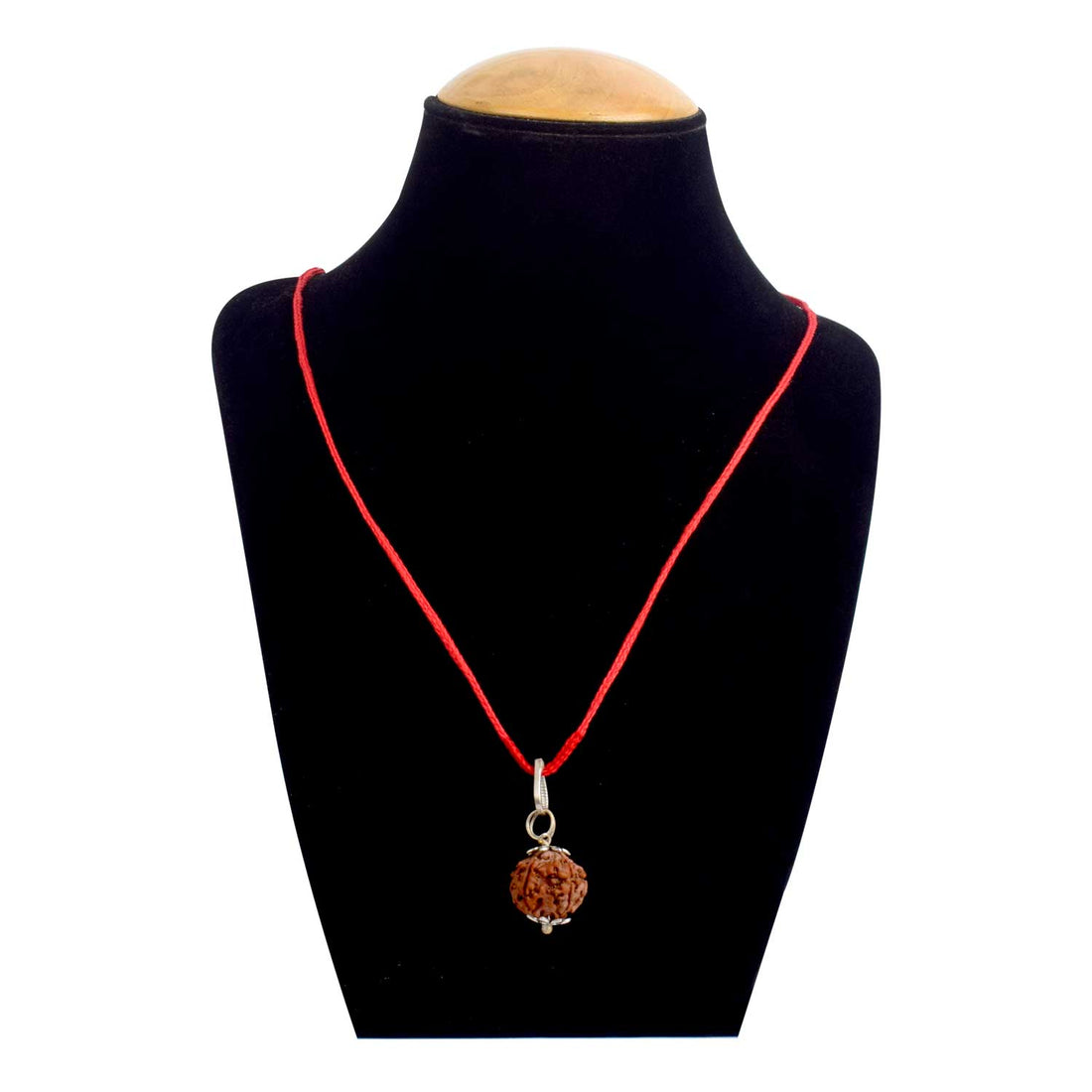 Certified 6 Mukhi Rudraksha Pendant