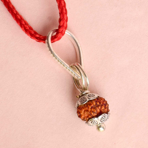 Certified 12 Mukhi Rudraksha Pendant