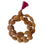 2 Mukhi Kantha Rudraksha Mala