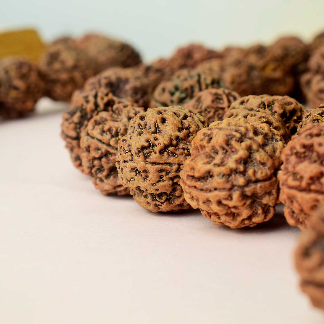 5 Mukhi Special Kantha Rudraksha Mala