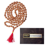 4 Mukhi Pathariya Rudraksha mala 6-7mm