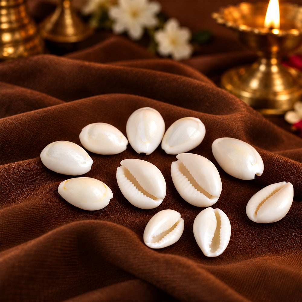White Kodi for Pooja (11 Pc) – Sacred Cowrie Shells for Daily Pooja Needs