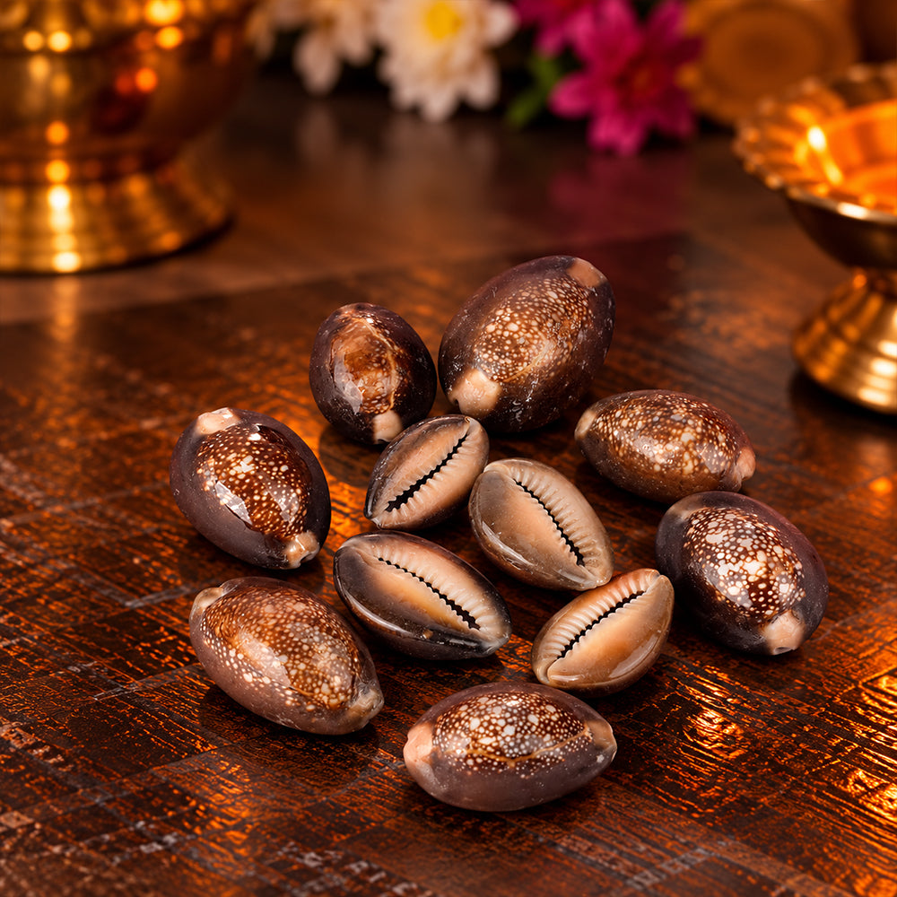 Natural Brown Kodi for Pooja (11 Pc)