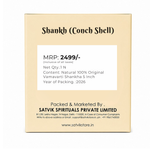 Natural 100% Original Vamavarti Shankha 5 Inch