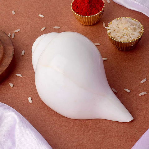 Natural Vamavarti Shankha 10–11 cm Original Blowing Conch for Daily Pooja. India’s Largest Pooja Accessories Brand - www.satvikstore.in