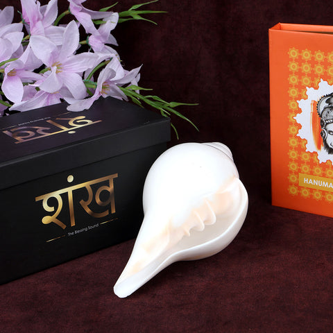 Natural 100% Original Vamavarti Shankha 6.5 Inch Blowing Conch for Pooja. India’s Largest Pooja Accessories Brand - www.satvikstore.in