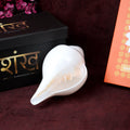 Natural 100% original sacred blowing Shankh 13 cm conch shell used for daily puja, temple rituals, and spiritual ceremonies. India’s Largest Pooja Accessories Brand – www.satvikstore.in

