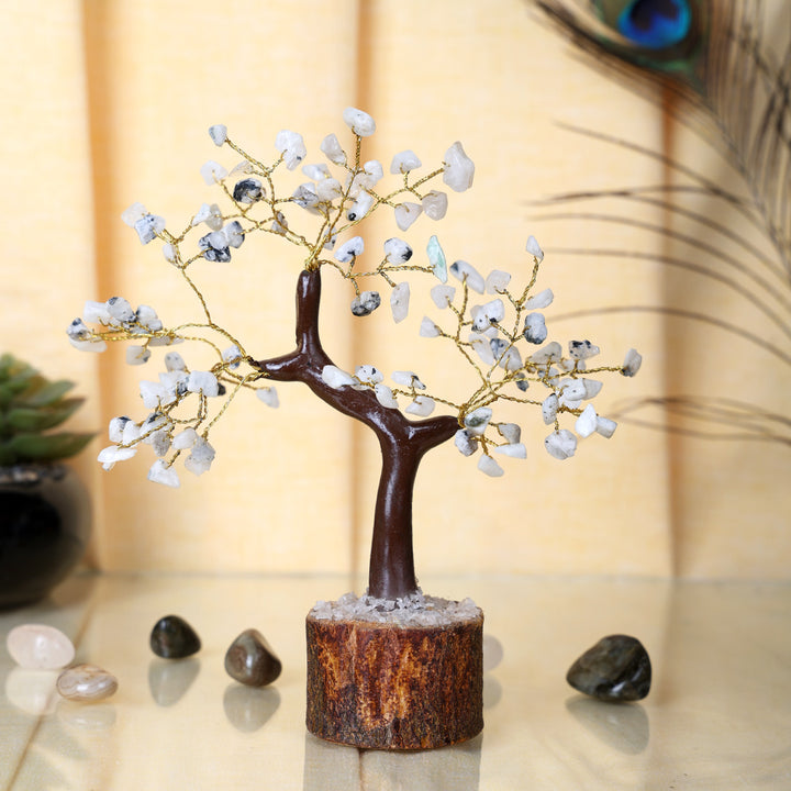Rainbow Moonstone Crystal Healing Tree for Peace, Emotional Balance, Calming Energy and Positive Aura Home Decor. India’s Largest Pooja Accessories Brand – www.satvikstore.in
