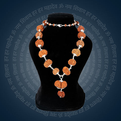 Siddha Mala with 1 Mukhi Sawar Nepal collector grade full Rudraksha mala. India’s Premium Rudraksha Jap Mala Brand - www.satvikstore.in	