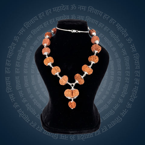 Siddha Mala with 1 Mukhi Sawar Nepal collector grade silver chain Rudraksha mala. India’s Premium Rudraksha Jap Mala Brand - www.satvikstore.in	