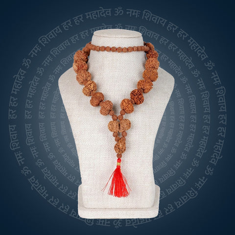 Siddha Mala with 5+1 Sawar Rudraksha (Collector Grade, Nepal)