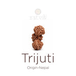 Trijuti Rudraksha bead natural Nepali rare three joined Rudraksha. India’s Premium Rudraksha Beads Brand - www.satvikstore.in