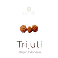 Trijuti Rudraksha bead natural Indo rare three joined Rudraksha. India’s Premium Rudraksha Beads Brand - www.satvikstore.in